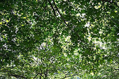 高速公路巡警模拟器《HIGHWAY PATROL》上架steam